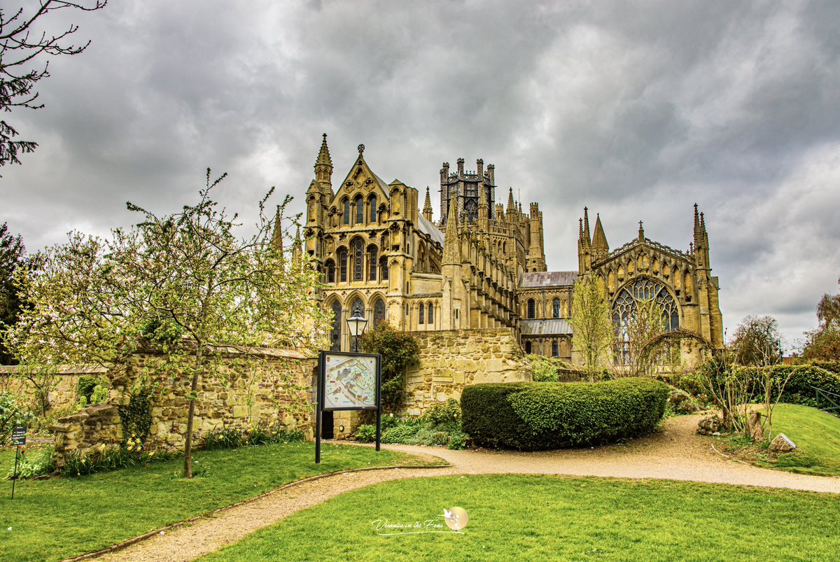 Veronica in the Fens 🧚🏼‍♀️ My Heart in Nature tweet media