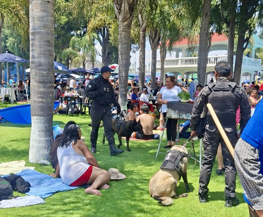 SSPPC San Andrés Cholula tweet media