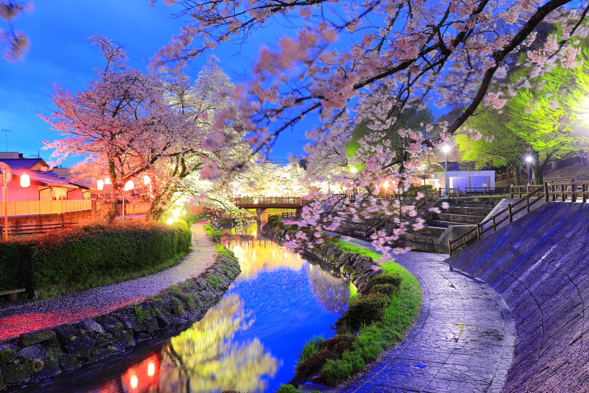 こばやしでい tweet media