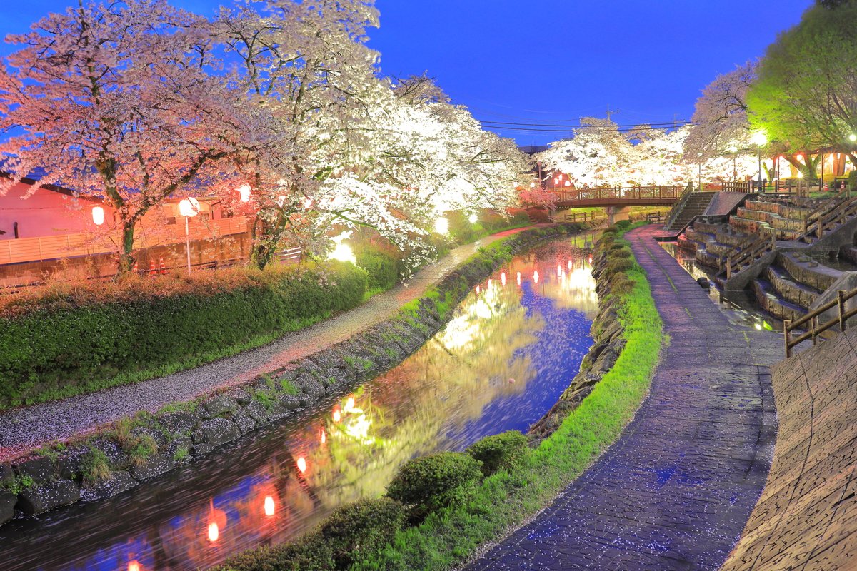 こばやしでい tweet media