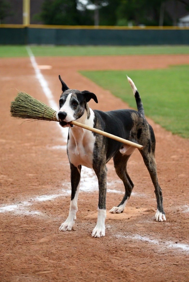 Blue brought the broom out for the ⁦<a href="/BSU_Baseball_/">Bluefield State University Baseball</a>⁩ sweep this series with Virginia State. ⁦<a href="/bstatesports/">Big Blue Athletics</a>⁩ ⁦<a href="/BlfdState/">Bluefield State University</a>⁩ you can consider the Hill was Guarded! Great game