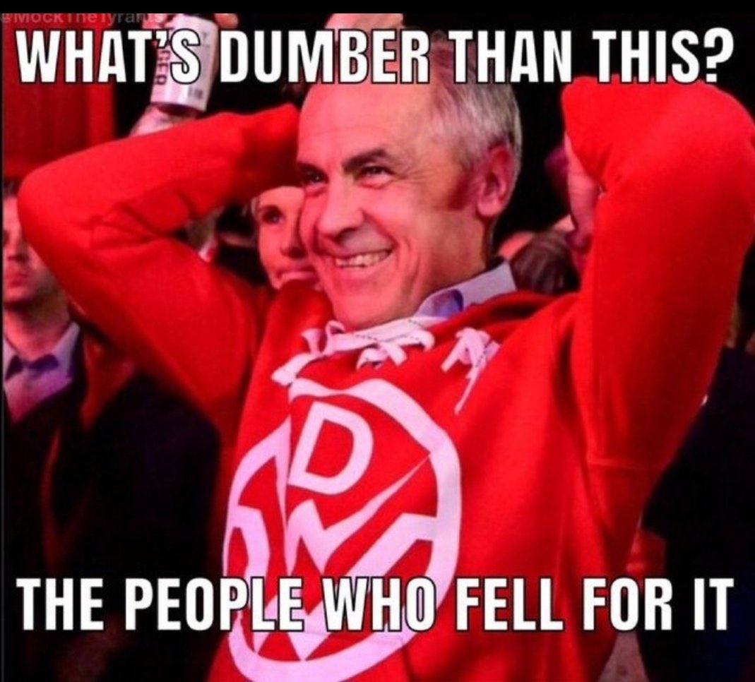 Ray 🇨🇦 tweet media