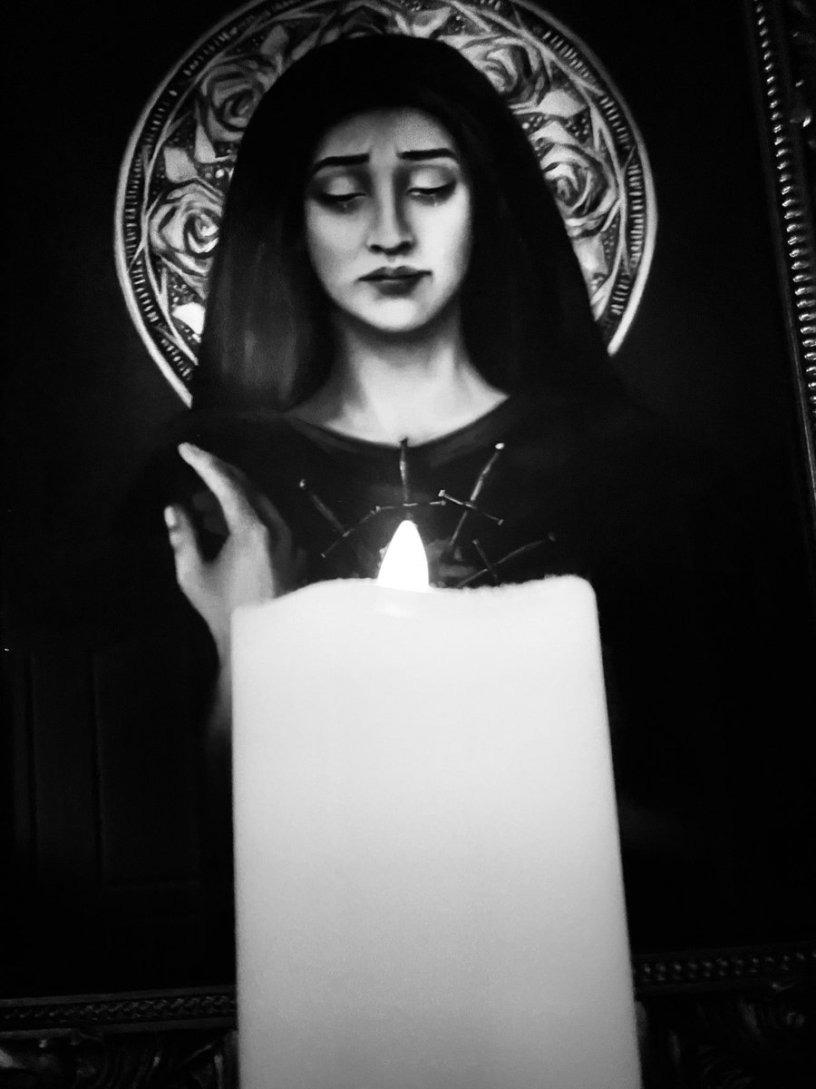 The Maccabean Papist tweet media