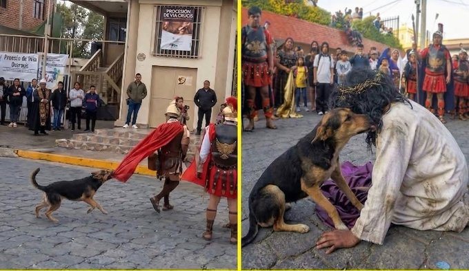 Adi el Grande tweet media