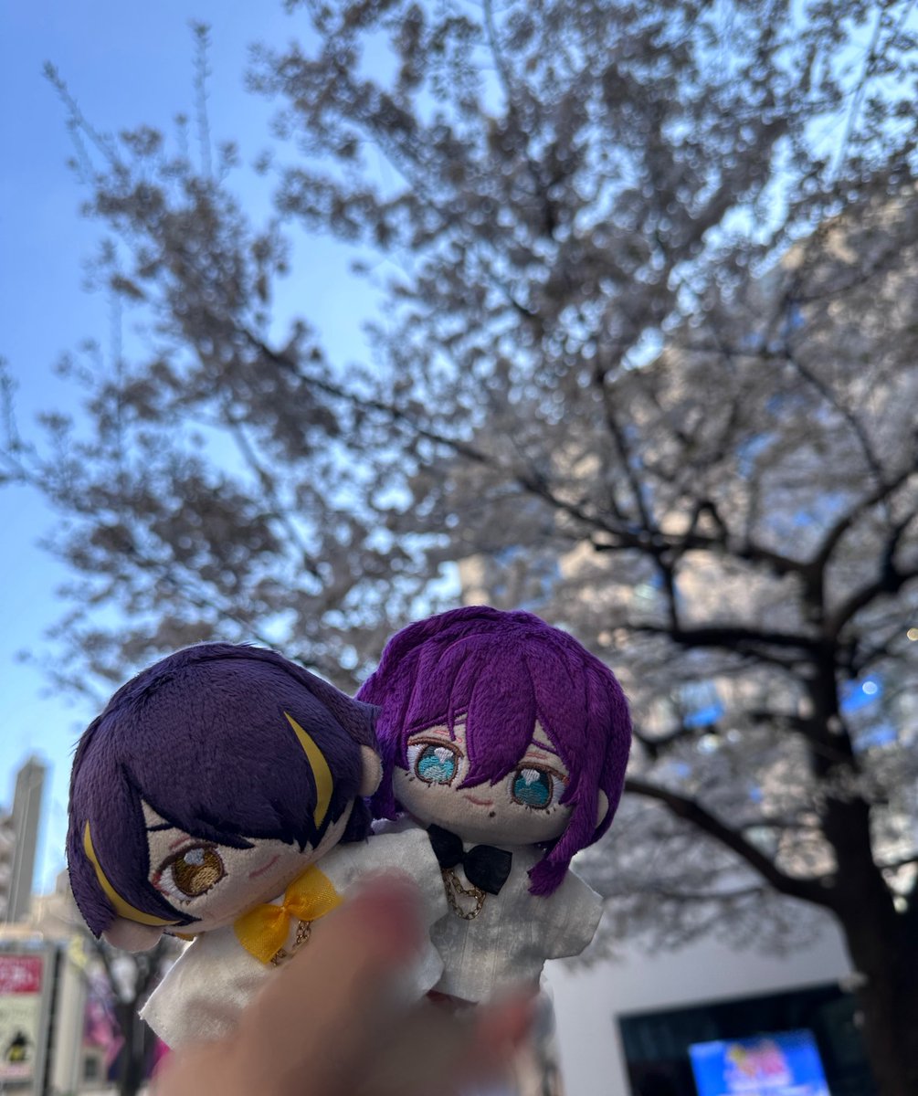 黒咲⁉️ tweet media