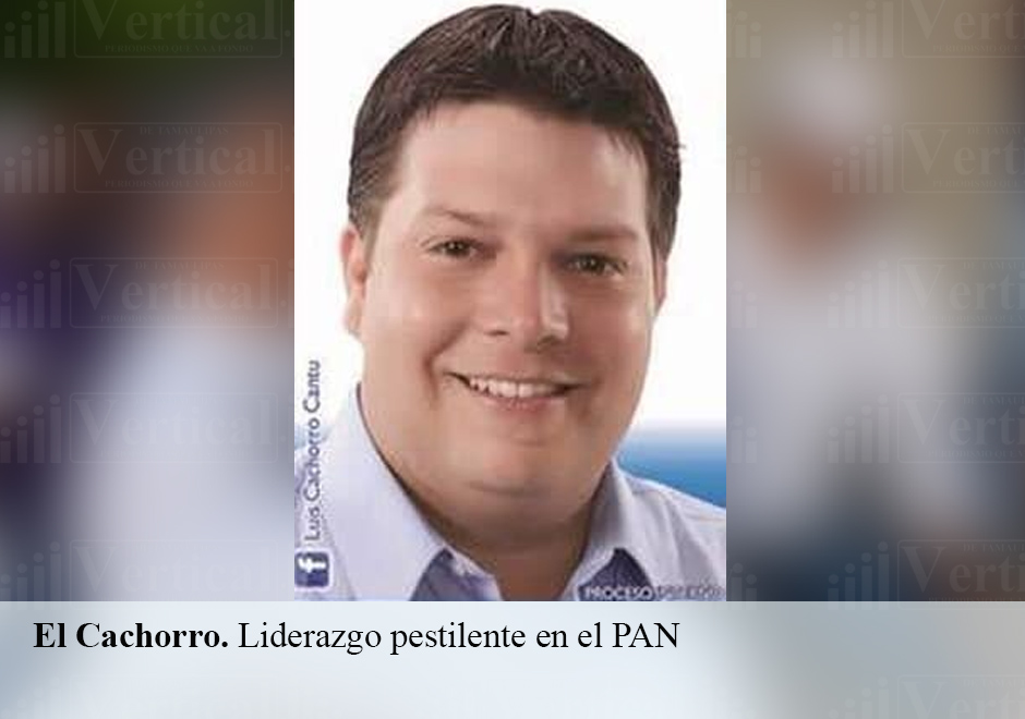 El Reportero MX tweet media