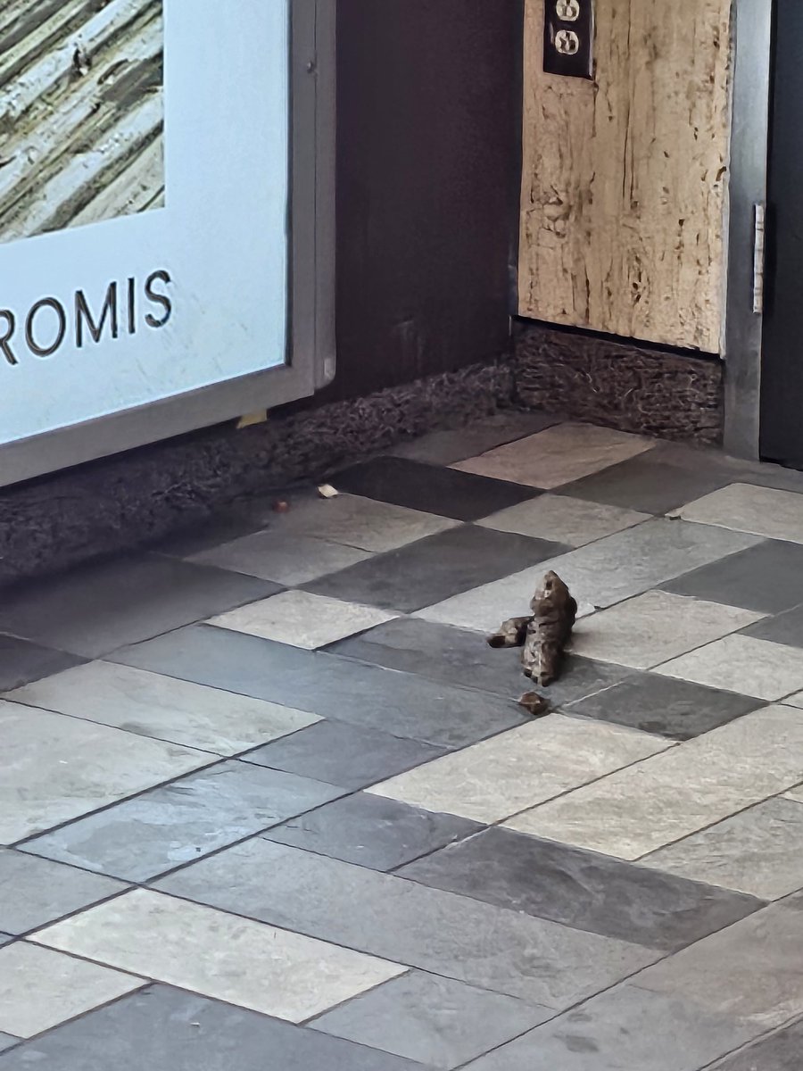 Terry Newman tweet media