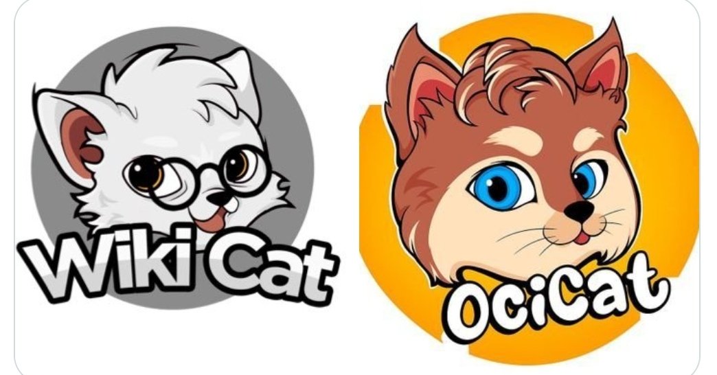 ttsangaz's tweet photo. @Godseer0 $WKC is the bullrun. 
$Ocicat is the bullrun. https://t.co/aPeW6qhpUu