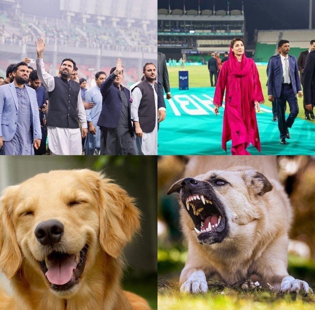 Na Kar Yaar 🇵🇰 ☣️ 🪖 نہ کر یار tweet media