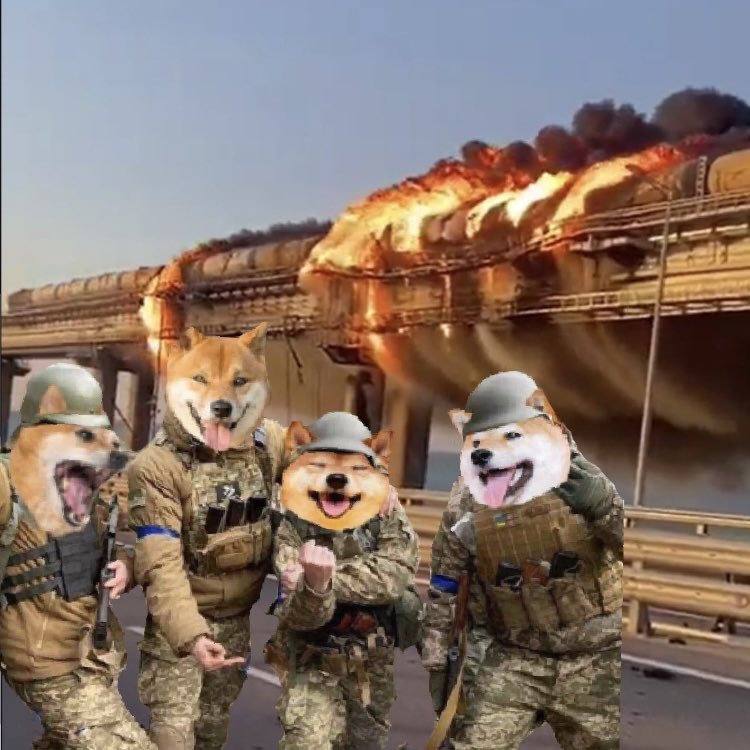 fog-lark 🇺🇸❤🇺🇦🇬🇪🇪🇺🇨🇦🇬🇱🌻🐝🦩🐸🚲 tweet media