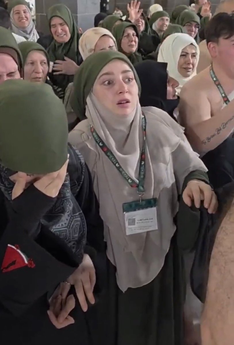 VFor Vedo tweet media