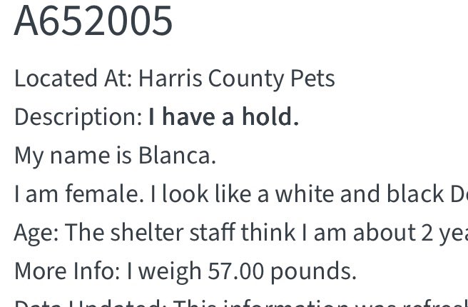 @PawsnTails4TX 🇺🇸🇺🇸🐾🐾 tweet media