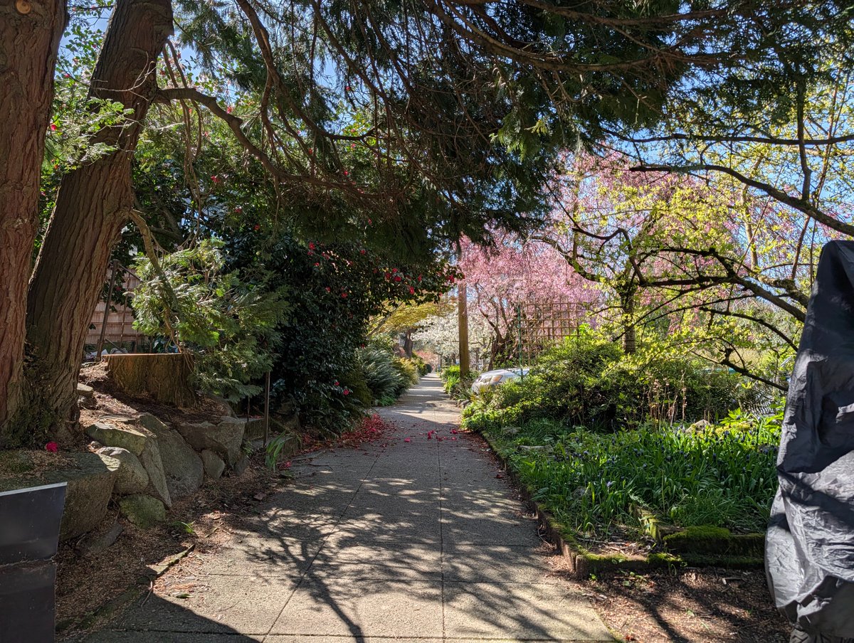 Ray Ting 雷霆 🔜 FWA tweet media