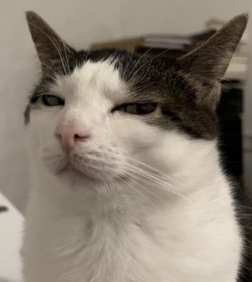 professional cat-ifyer of the HR cast tweet media