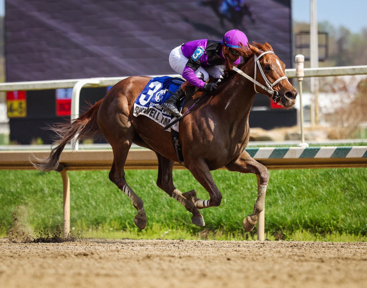 The Maryland Jockey Club, Inc. tweet media