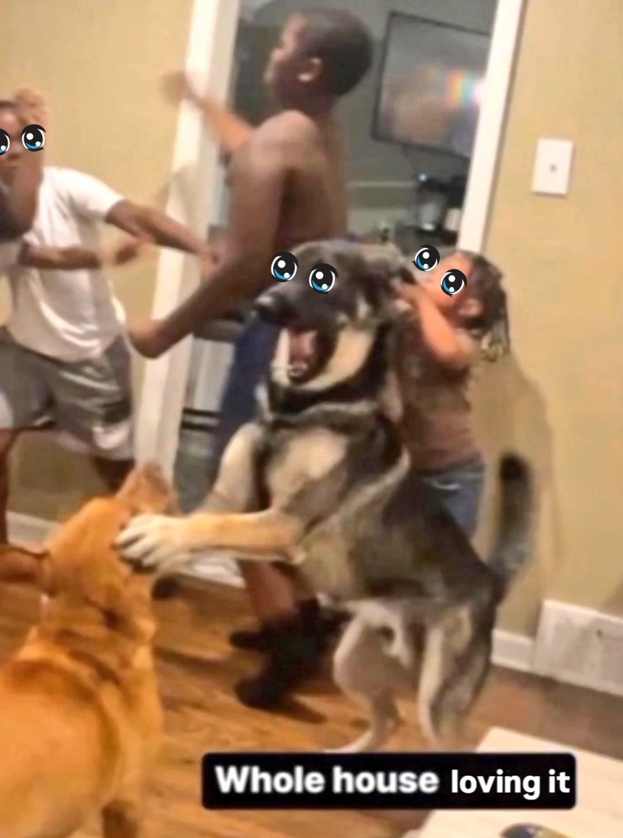 tight up pAnt tweet media