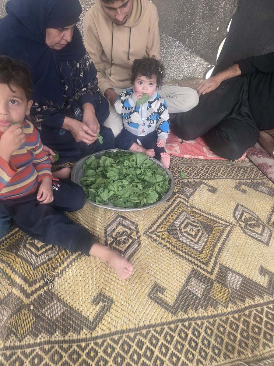 Ahmed Alawer 🍉🍉 tweet media