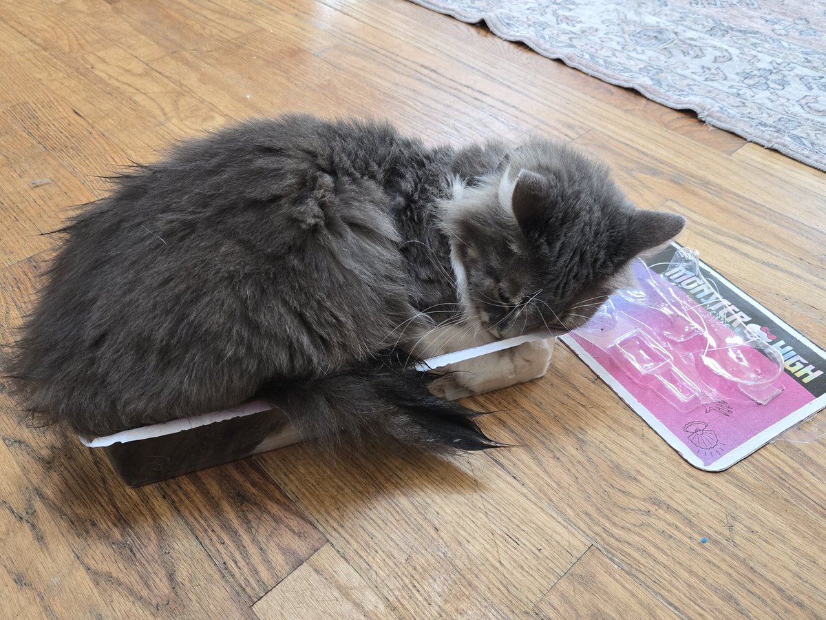 Mew Mew Mint tweet media