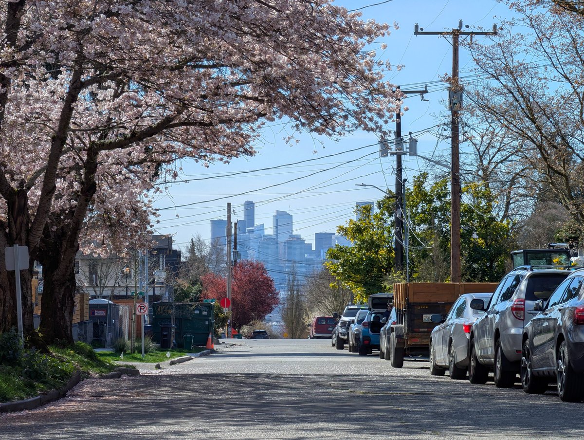 Ray Ting 雷霆 🔜 FWA tweet media