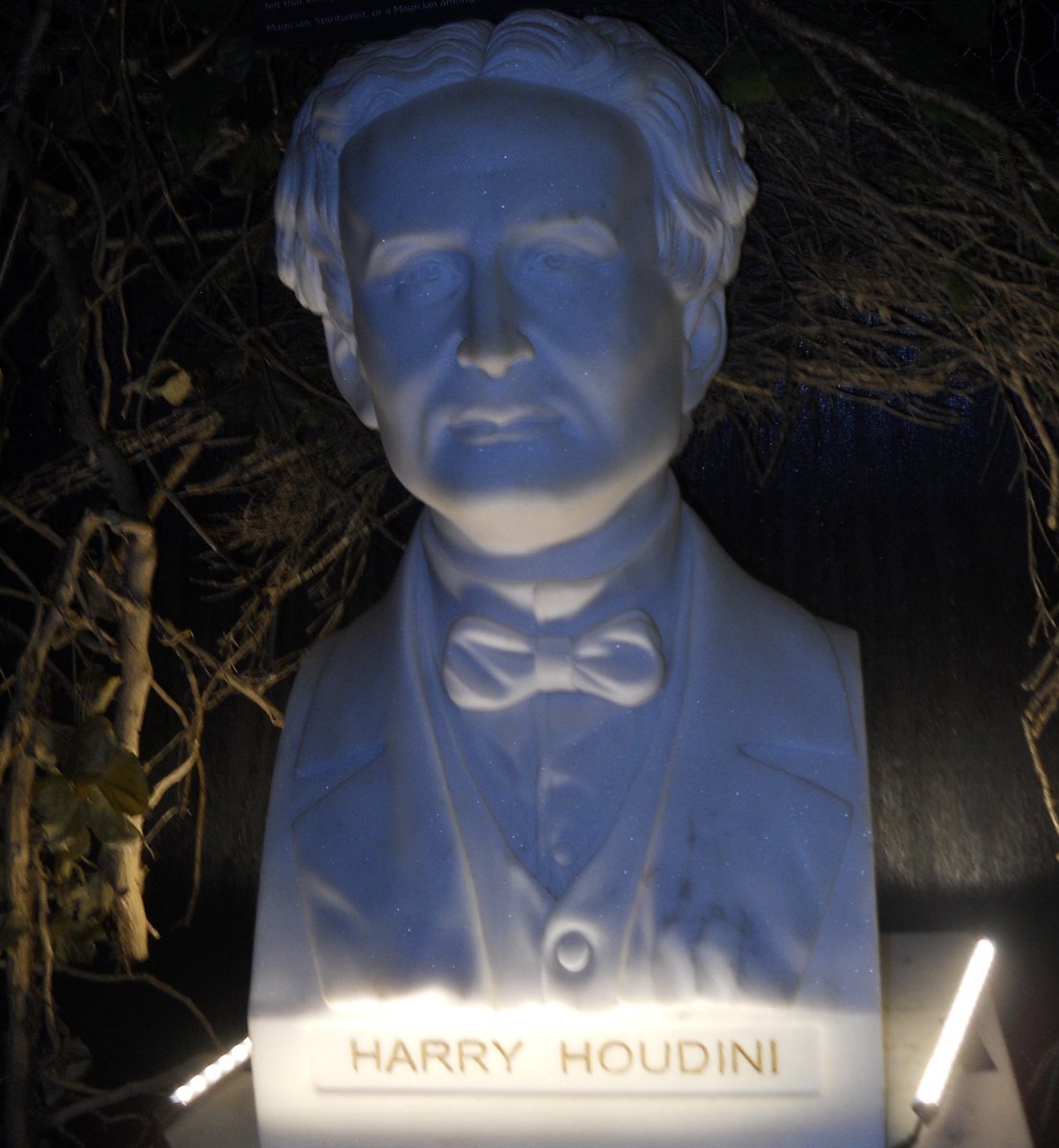 maggie 🦇 tweet media