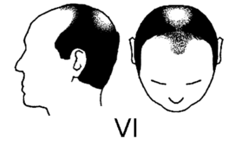 Καλός tweet media