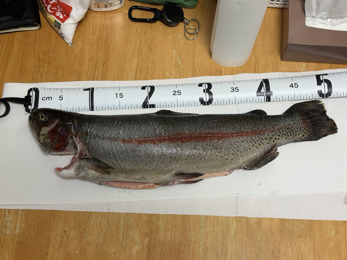 とりすけ tweet media