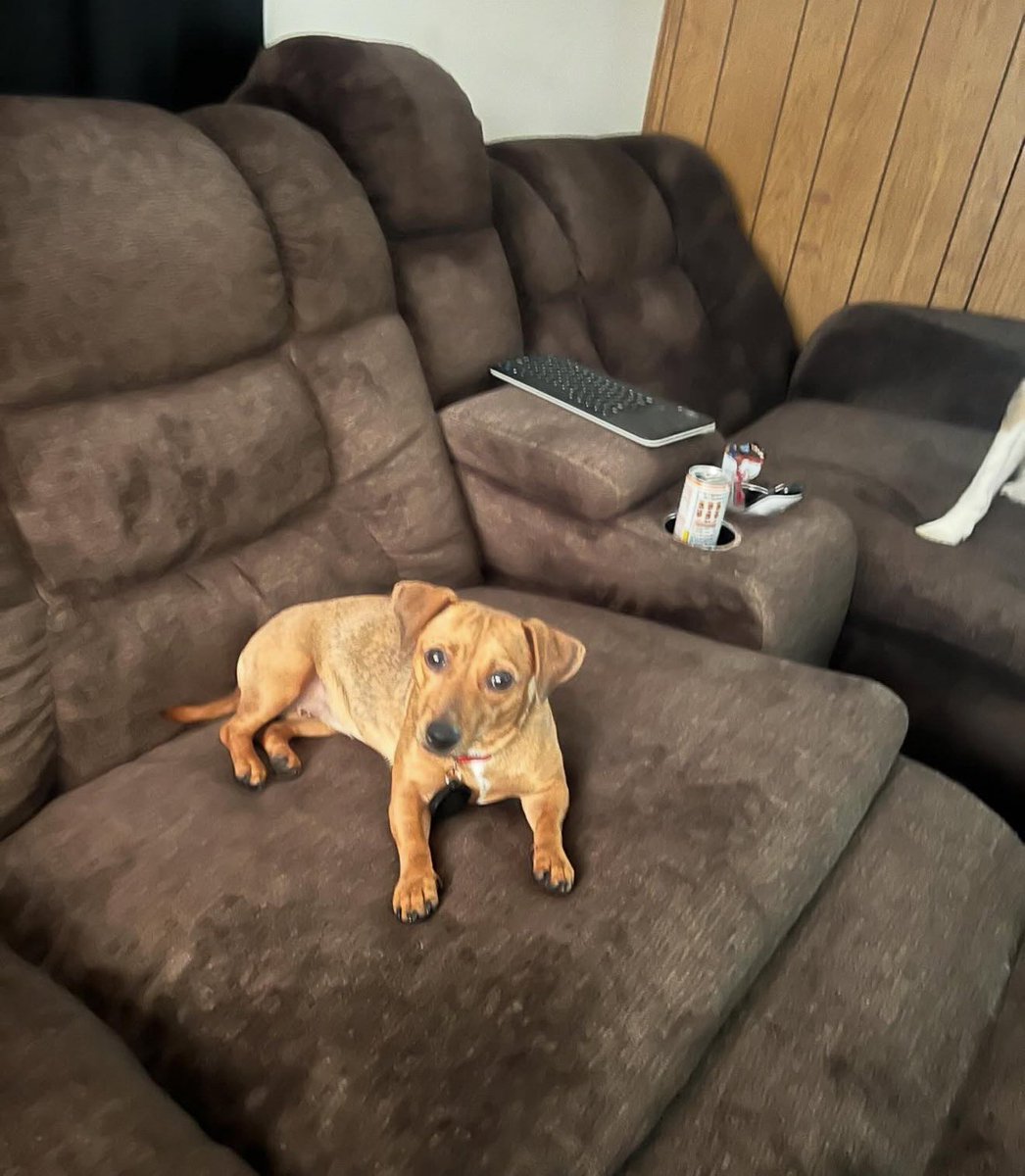 Duane Steinel tweet media