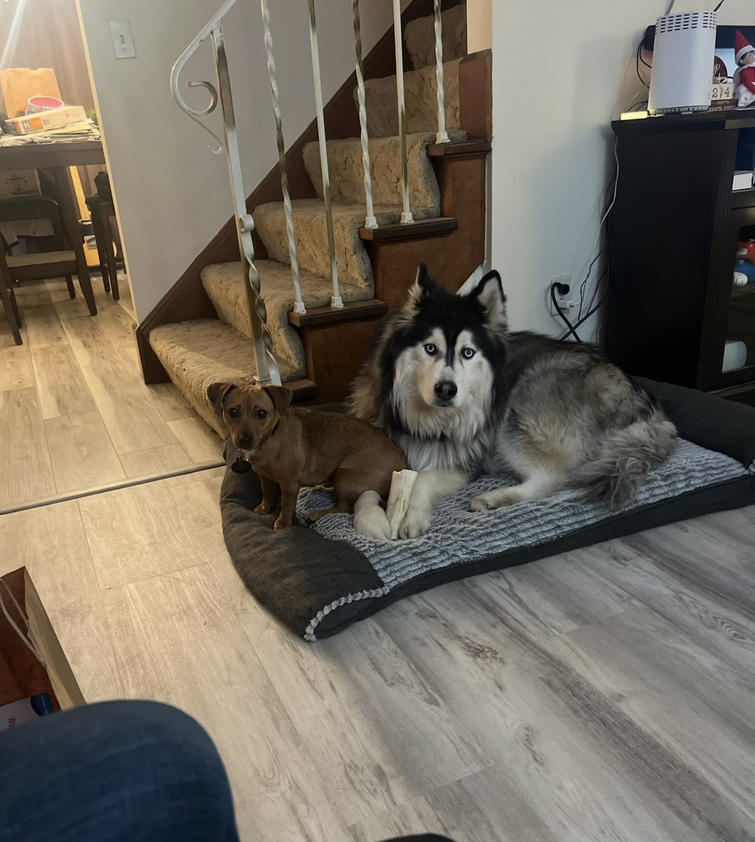 Duane Steinel tweet media