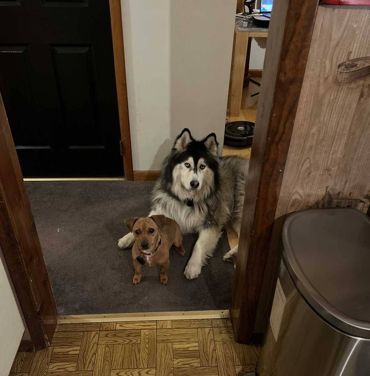 Duane Steinel tweet media