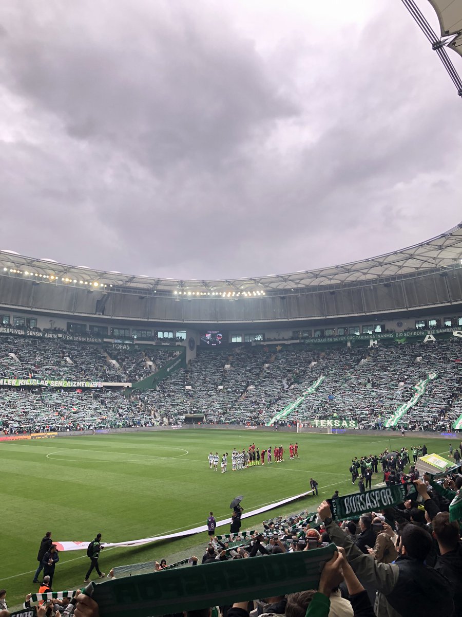 GÖK 🐊 tweet media