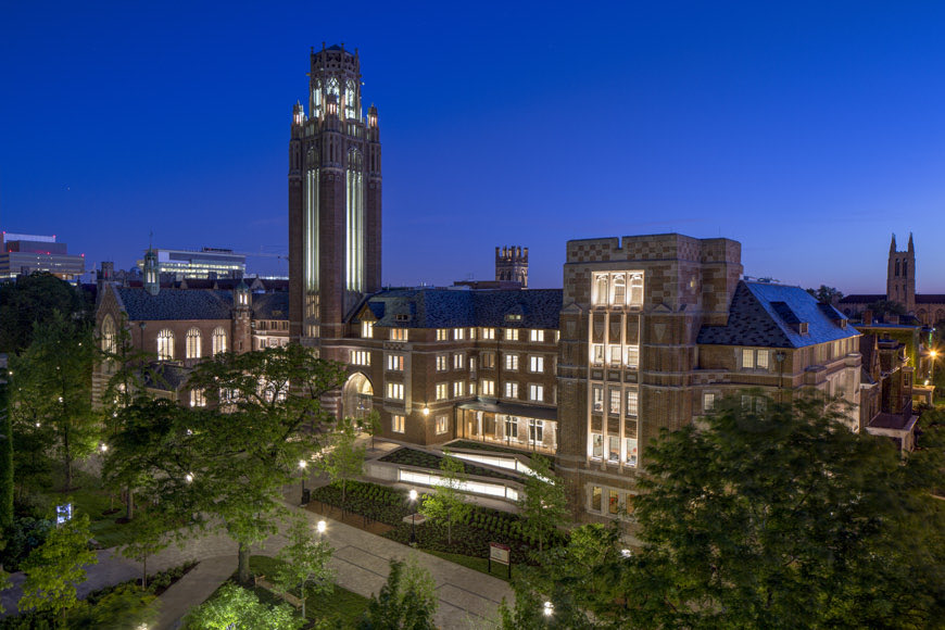 𝔐𝔽𝓩 tweet media