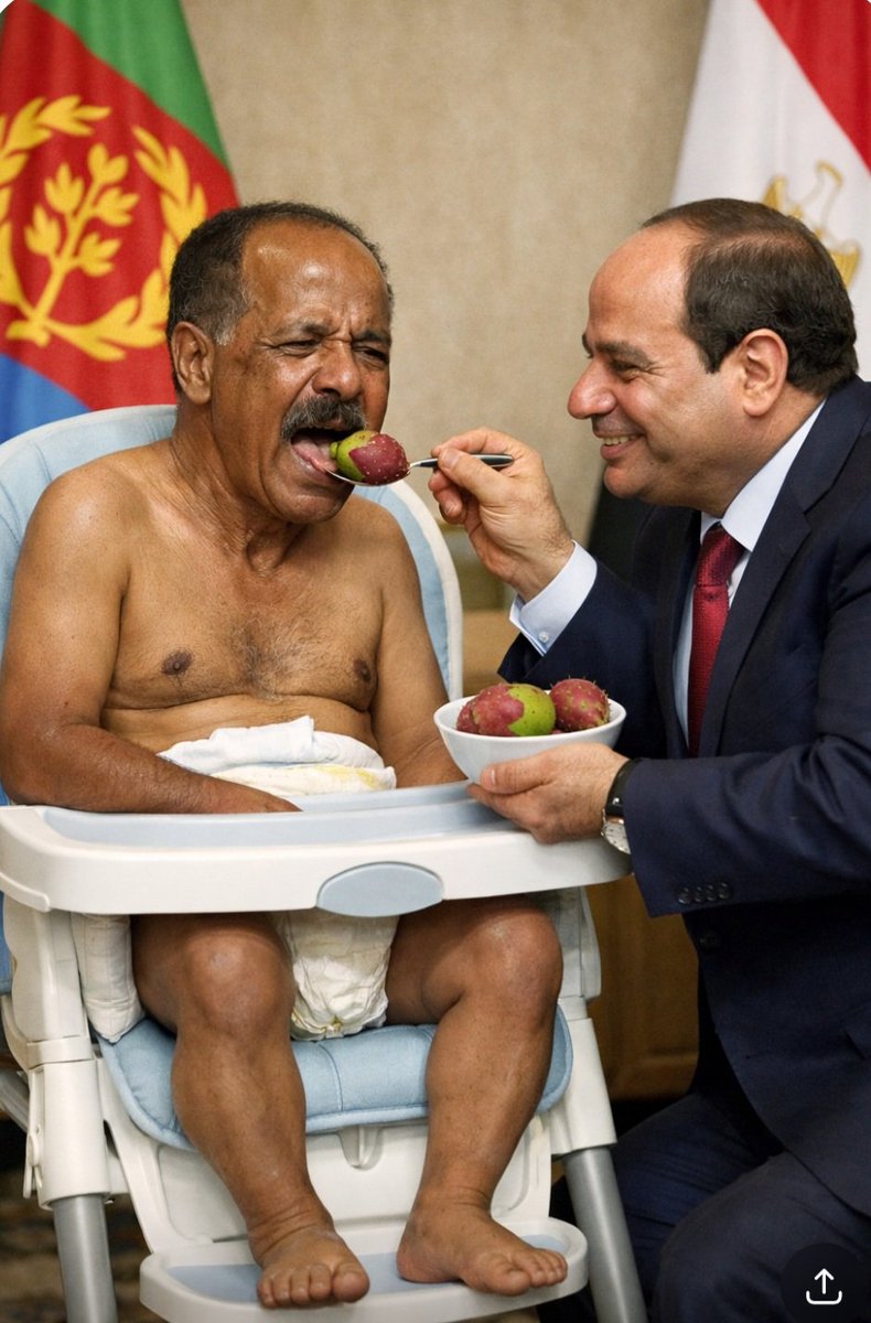 EthiopiaTheWay tweet media