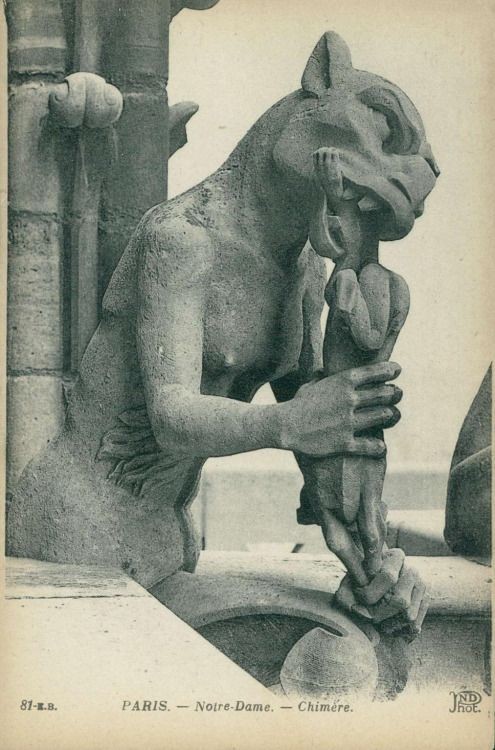 MariaTeresa Cipollone tweet media