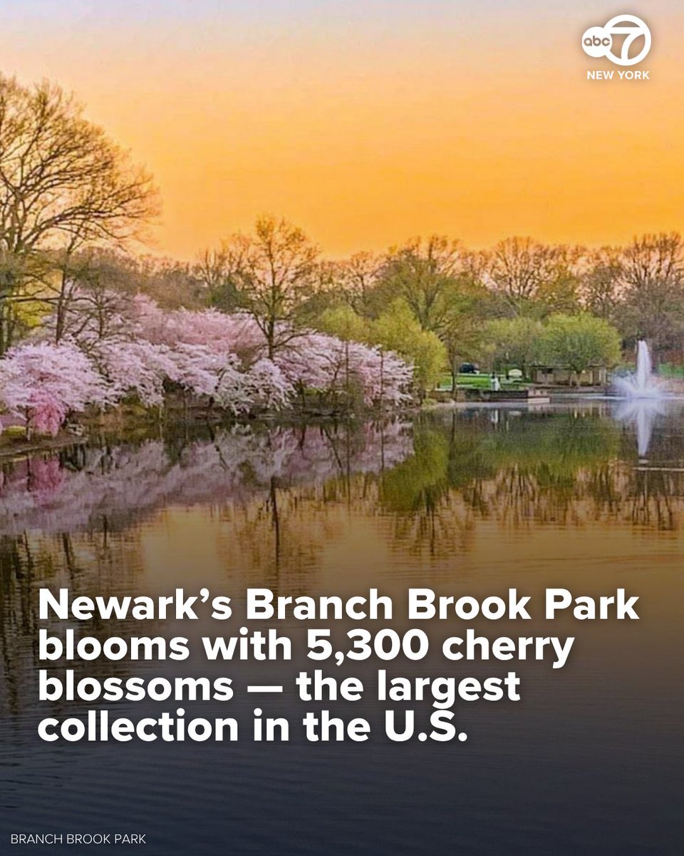 Eyewitness News tweet media