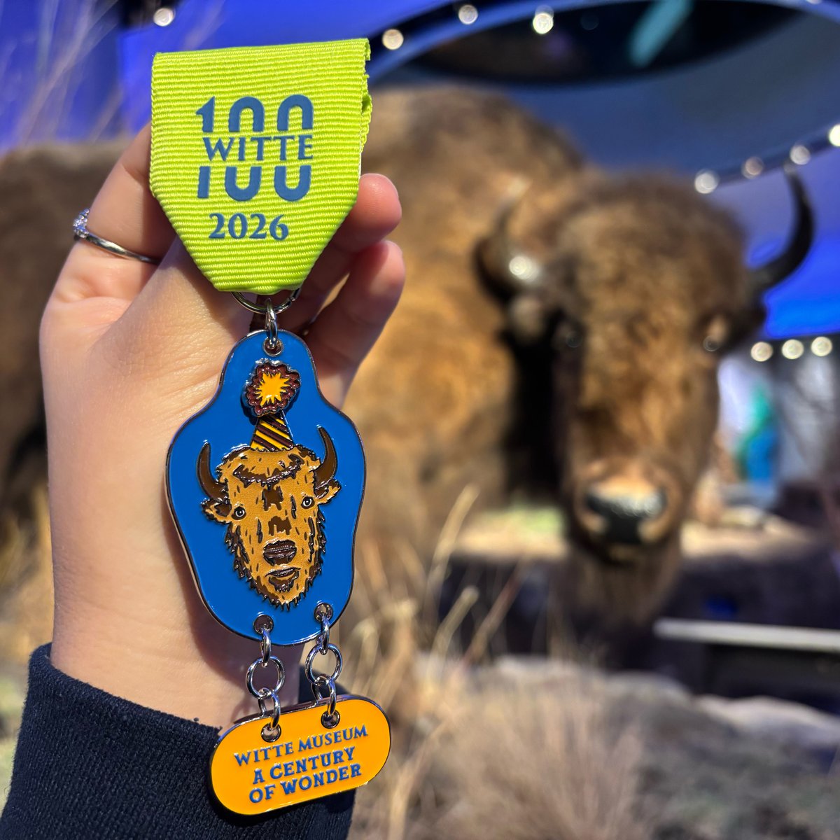 Witte Museum ~ Nature, Science & Culture tweet media