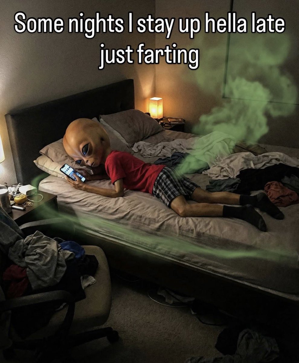 𓆩𓋹𓆪 tweet media