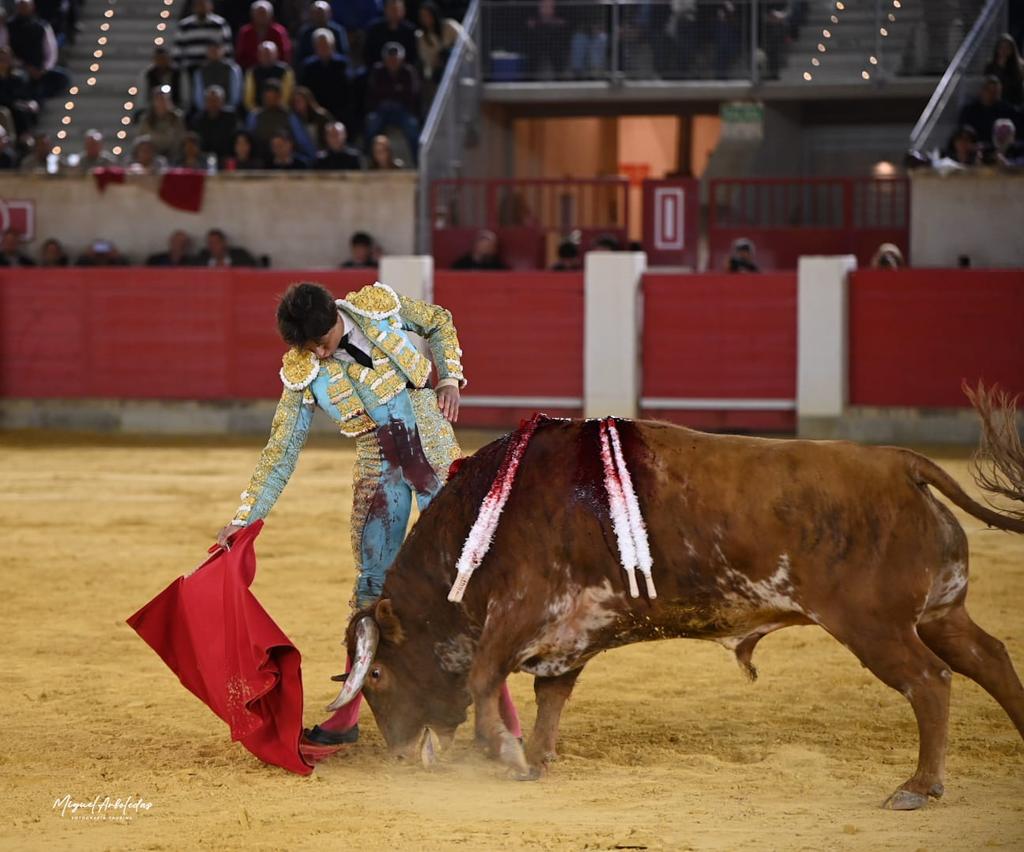 Toros Lorca. Coso de Sutullena tweet media