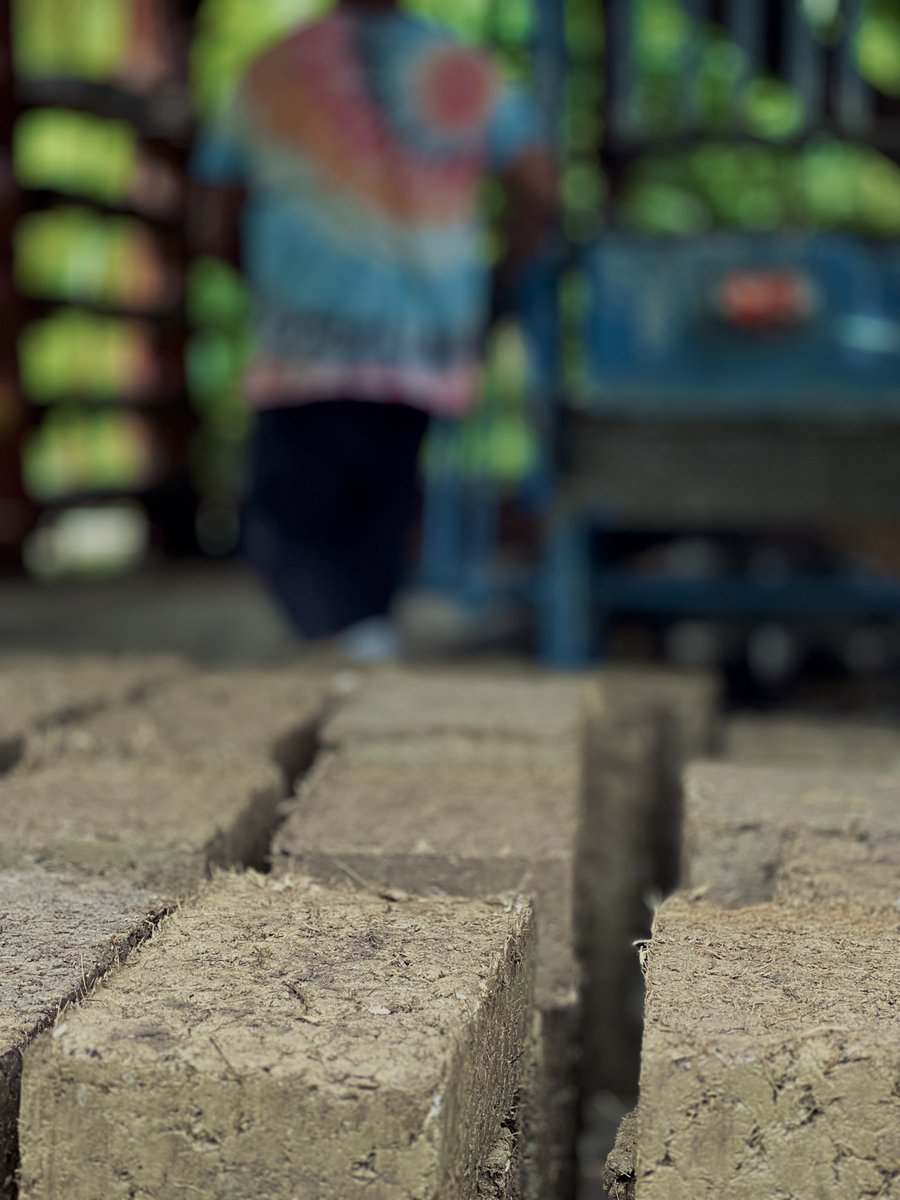 pili roffiel ॐ tweet media