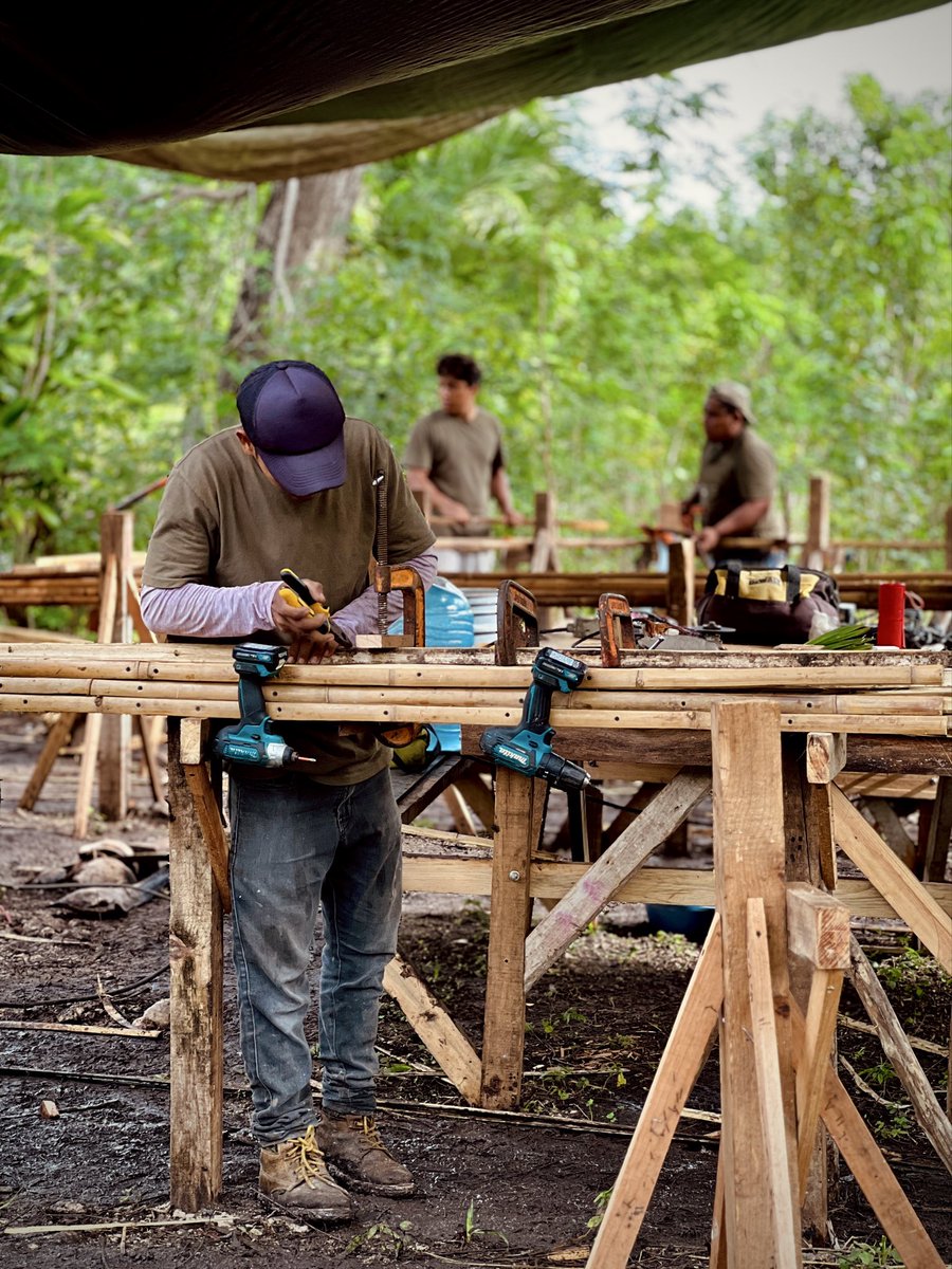 pili roffiel ॐ tweet media