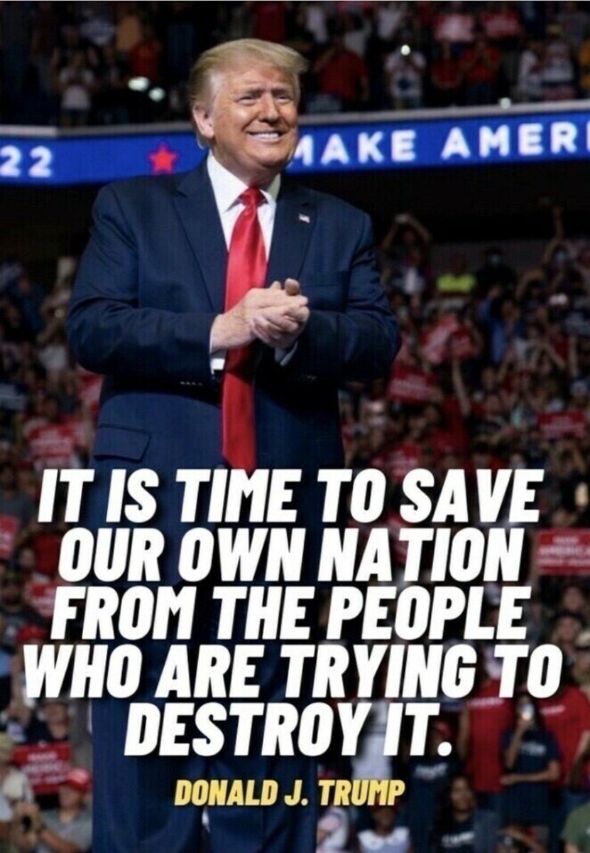 Lake Lady 🇺🇸 ⚖ tweet media