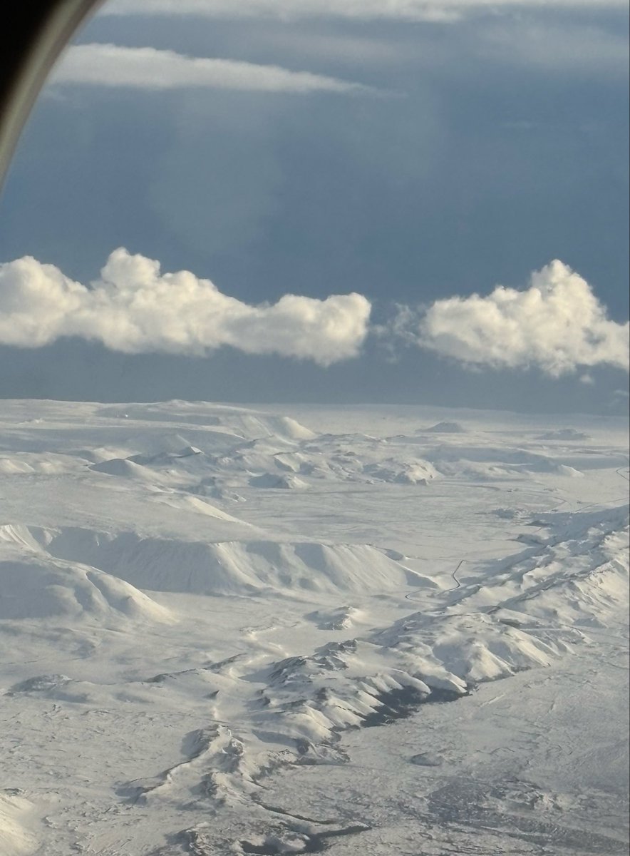 レモンライム tweet media