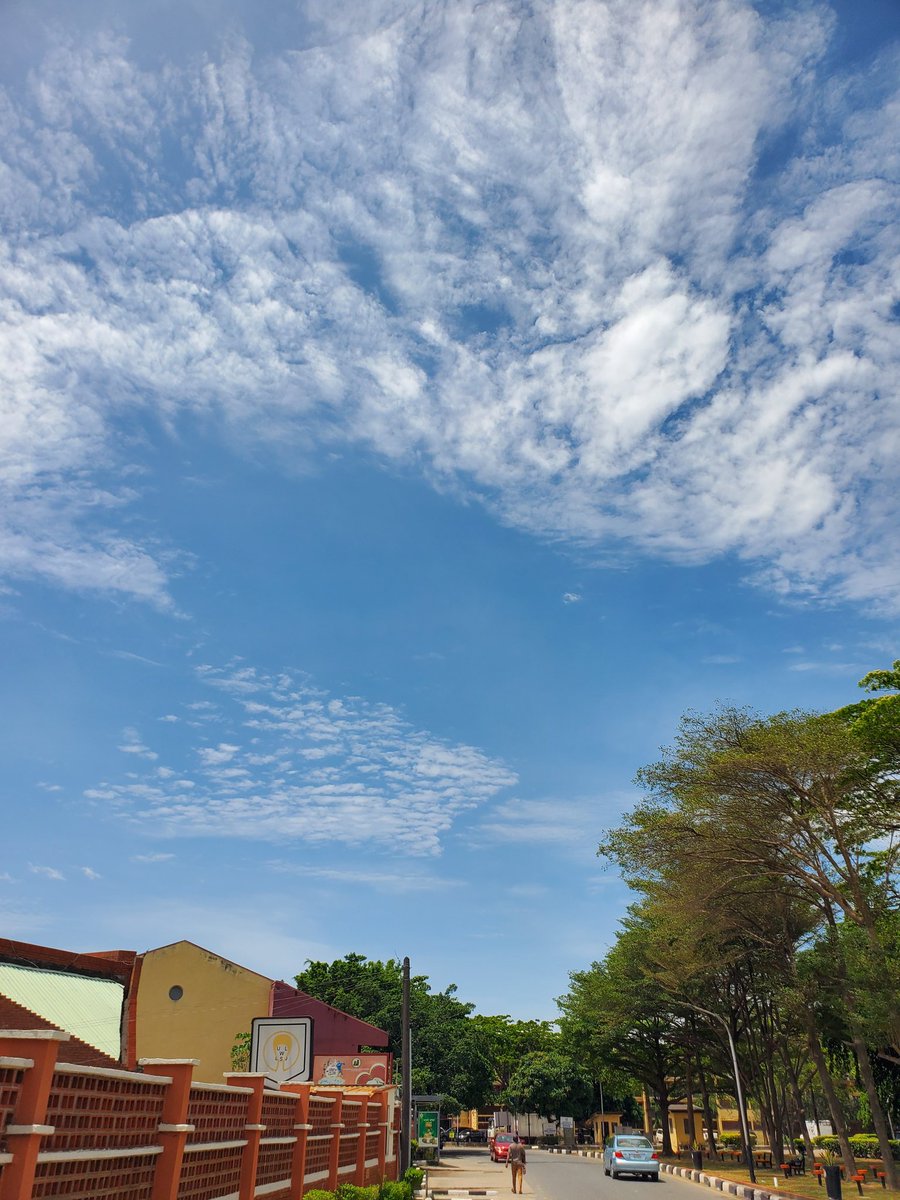 ★°♦ tweet media