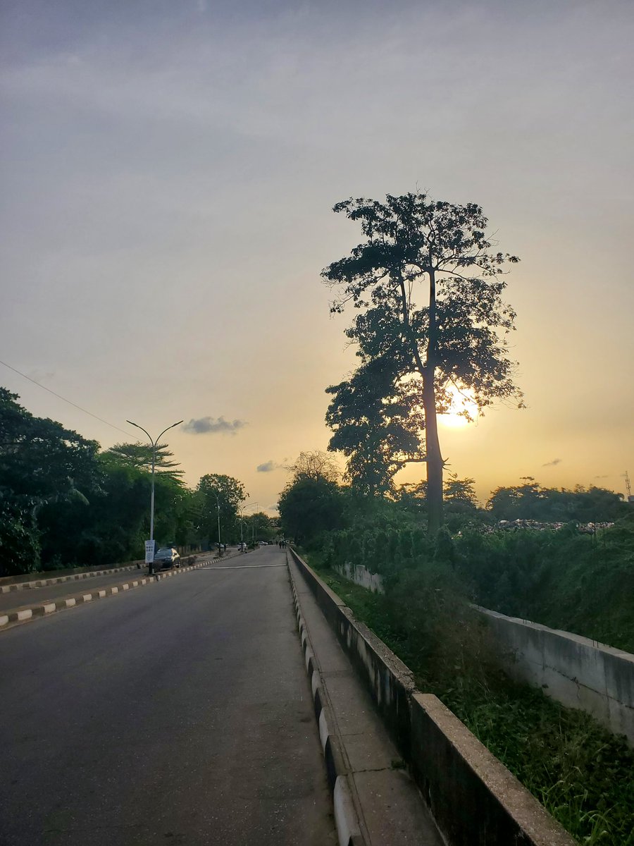 ★°♦ tweet media