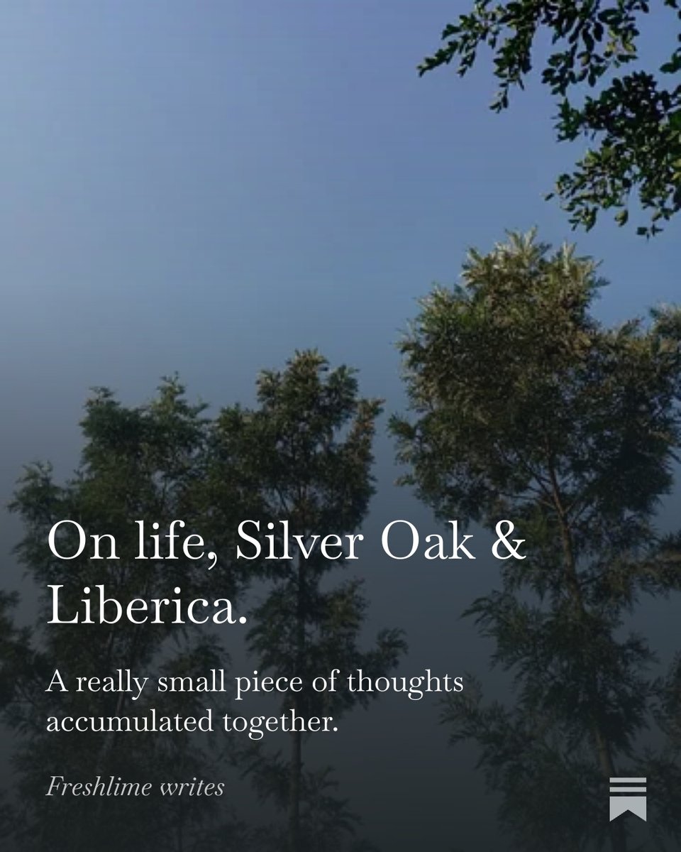 freshlimesofa's tweet photo. Wrote something after a while.

It's non-tech.

Check it out if you'd like :)

On life, Silver Oak &amp; Liberica.

link : https://t.co/OvtsAOm0wq https://t.co/9VSw7oR4YS