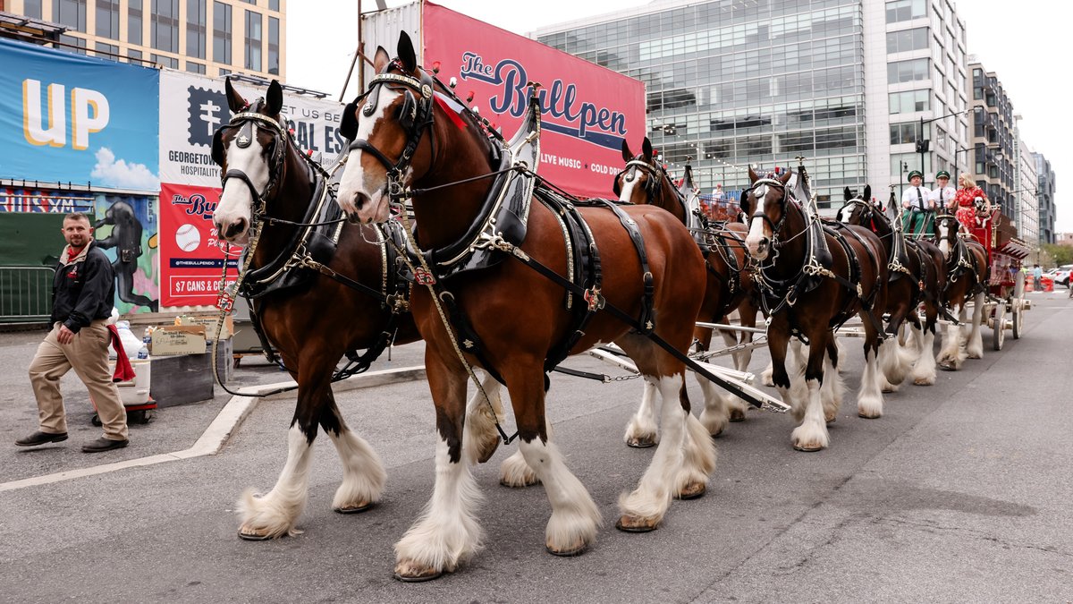 Nationals Park tweet media