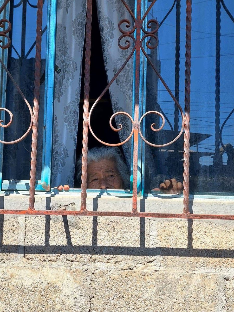 El Dato Noticias Morelos 📰 tweet media