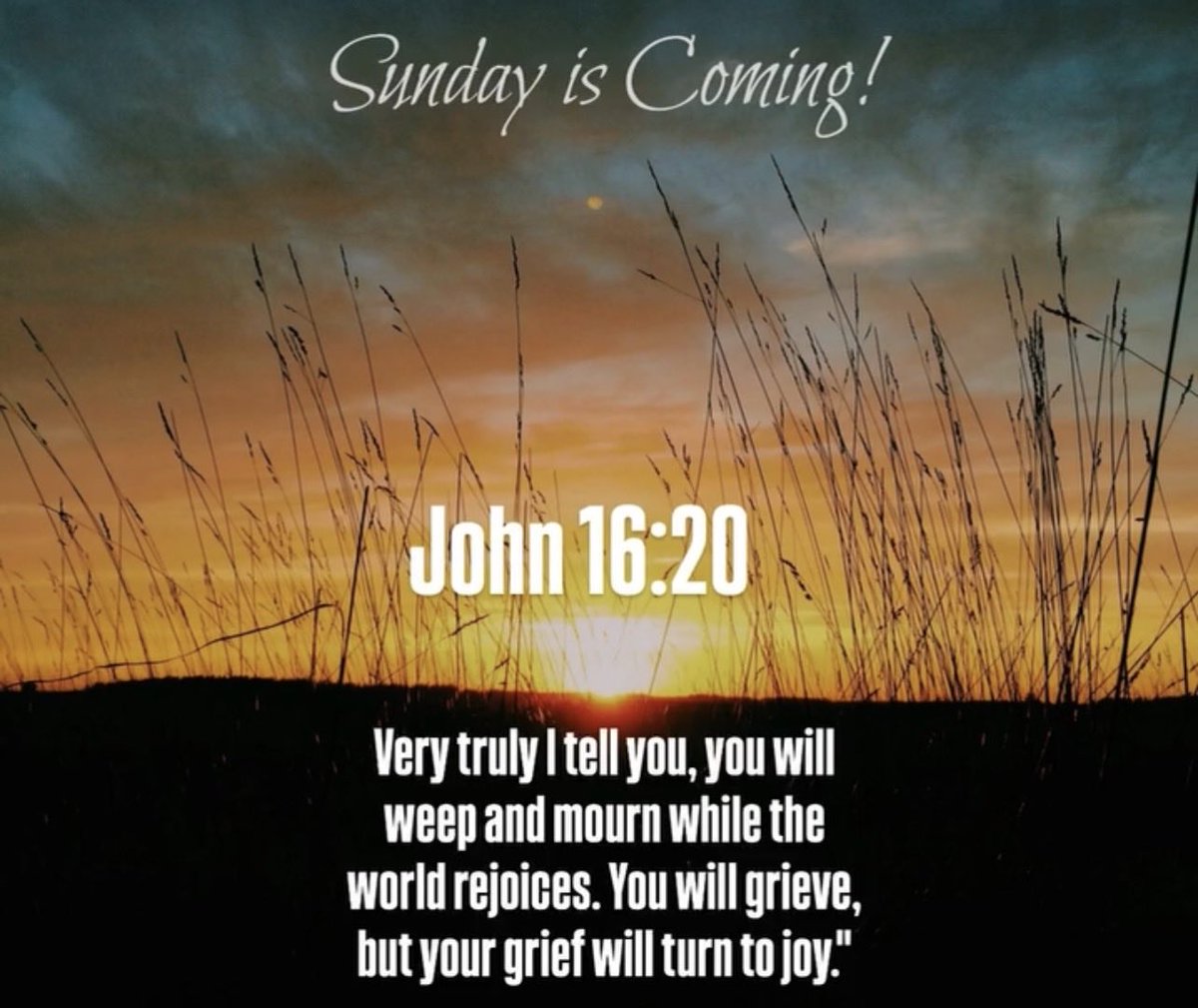 Henry Braxton tweet media