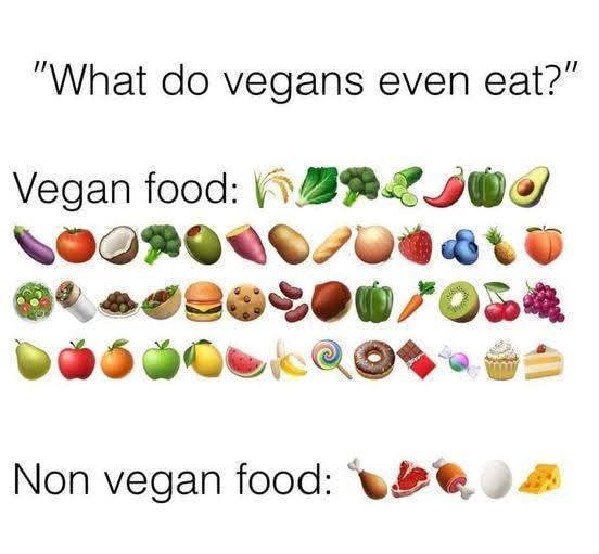 Dervilla(v) tweet media