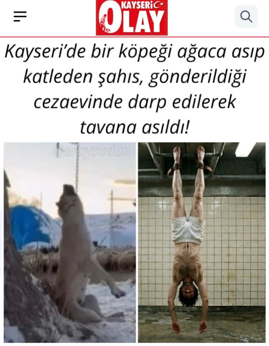 Profesör Facia tweet media