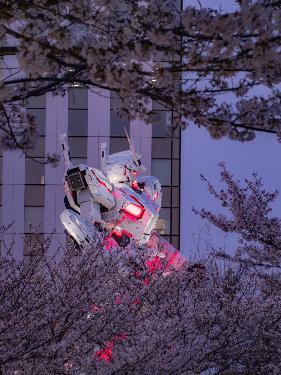 よっくん tweet media